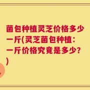 菌包种植灵芝价格多少一斤(灵芝菌包种植：一斤价格究竟是多少？)