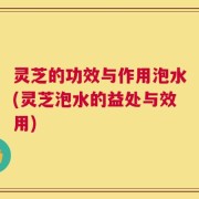 灵芝的功效与作用泡水(灵芝泡水的益处与效用)