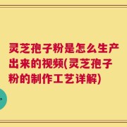 灵芝孢子粉是怎么生产出来的视频(灵芝孢子粉的制作工艺详解)
