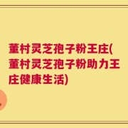 董村灵芝孢子粉王庄(董村灵芝孢子粉助力王庄健康生活)
