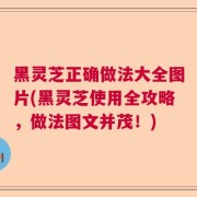 黑灵芝正确做法大全图片(黑灵芝使用全攻略，做法图文并茂！)