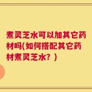 煮灵芝水可以加其它药材吗(如何搭配其它药材煮灵芝水？)