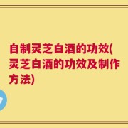 自制灵芝白酒的功效(灵芝白酒的功效及制作方法)
