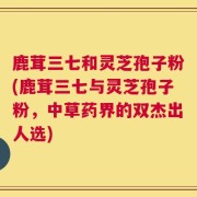 鹿茸三七和灵芝孢子粉(鹿茸三七与灵芝孢子粉，中草药界的双杰出人选)