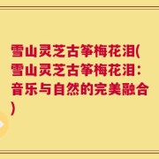 雪山灵芝古筝梅花泪(雪山灵芝古筝梅花泪：音乐与自然的完美融合)