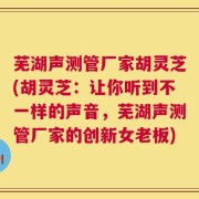 芜湖声测管厂家胡灵芝(胡灵芝：让你听到不一样的声音，芜湖声测管厂家的创新女老板)