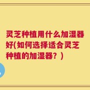 灵芝种植用什么加湿器好(如何选择适合灵芝种植的加湿器？)