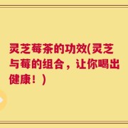 灵芝莓茶的功效(灵芝与莓的组合，让你喝出健康！)