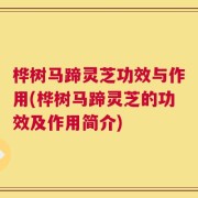 桦树马蹄灵芝功效与作用(桦树马蹄灵芝的功效及作用简介)