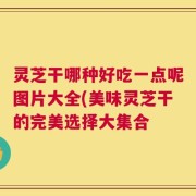 灵芝干哪种好吃一点呢图片大全(美味灵芝干的完美选择大集合