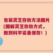 包装灵芝存放方法图片(图解灵芝存放方式，做到科学妥善保存！)