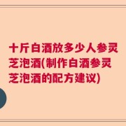 十斤白酒放多少人参灵芝泡酒(制作白酒参灵芝泡酒的配方建议)