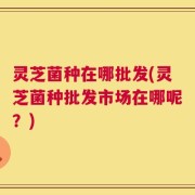 灵芝菌种在哪批发(灵芝菌种批发市场在哪呢？)