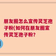 朋友圈怎么宣传灵芝孢子粉(如何在朋友圈宣传灵芝孢子粉？