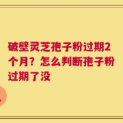 破壁灵芝孢子粉过期2个月？怎么判断孢子粉过期了没