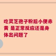 吃灵芝孢子粉后小便赤黄 是正常反应还是身体出问题了