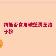 狗能否食用破壁灵芝孢子粉