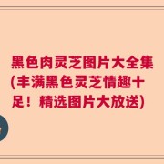 黑色肉灵芝图片大全集(丰满黑色灵芝情趣十足！精选图片大放送)