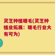 灵芝种植睫毛(灵芝种植业拓展：睫毛行业大有可为)