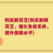 购买鲜灵芝(购买新鲜灵芝，强化免疫系统，提升健康水平)