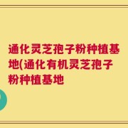 通化灵芝孢子粉种植基地(通化有机灵芝孢子粉种植基地