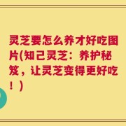 灵芝要怎么养才好吃图片(知己灵芝：养护秘笈，让灵芝变得更好吃！)