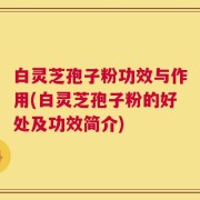 白灵芝孢子粉功效与作用(白灵芝孢子粉的好处及功效简介)