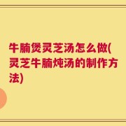 牛腩煲灵芝汤怎么做(灵芝牛腩炖汤的制作方法)