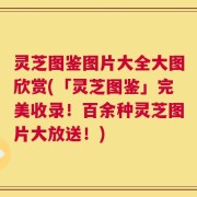 灵芝图鉴图片大全大图欣赏(「灵芝图鉴」完美收录！百余种灵芝图片大放送！)