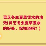 灵芝冬虫夏草煲水的功效(灵芝冬虫夏草煮水的好处，你知道吗？)