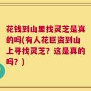 花钱到山里找灵芝是真的吗(有人花巨资到山上寻找灵芝？这是真的吗？)