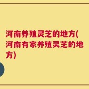 河南养殖灵芝的地方(河南有家养殖灵芝的地方)