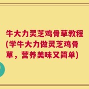牛大力灵芝鸡骨草教程(学牛大力做灵芝鸡骨草，营养美味又简单)
