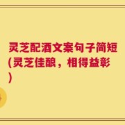 灵芝配酒文案句子简短(灵芝佳酿，相得益彰)