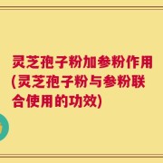 灵芝孢子粉加参粉作用(灵芝孢子粉与参粉联合使用的功效)