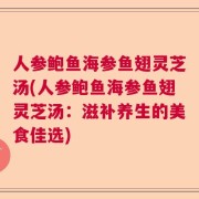 人参鲍鱼海参鱼翅灵芝汤(人参鲍鱼海参鱼翅灵芝汤：滋补养生的美食佳选)