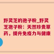 野灵芝的孢子粉_野灵芝孢子粉:天然珍贵草药,提升免疫力与健康