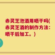 赤灵芝泡酒用晒干吗(赤灵芝酒的制作方法：晒干后加工。)