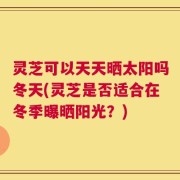 灵芝可以天天晒太阳吗冬天(灵芝是否适合在冬季曝晒阳光？)