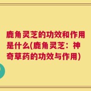 鹿角灵芝的功效和作用是什么(鹿角灵芝：神奇草药的功效与作用)