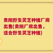 贵阳野生灵芝种植厂房出售(贵阳厂房出售，适合野生灵芝种植)
