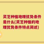 灵芝种植地理优势条件是什么(灵芝种植的地理优势条件特点简述)