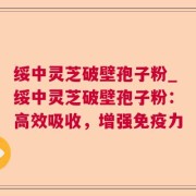绥中灵芝破壁孢子粉_绥中灵芝破壁孢子粉：高效吸收，增强免疫力