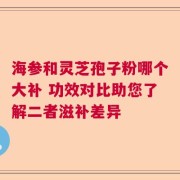海参和灵芝孢子粉哪个大补 功效对比助您了解二者滋补差异