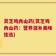灵芝鸡肉山药(灵芝鸡肉山药：营养滋补美味佳选)