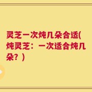 灵芝一次炖几朵合适(炖灵芝：一次适合炖几朵？)