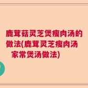 鹿茸菇灵芝煲瘦肉汤的做法(鹿茸灵芝瘦肉汤  家常煲汤做法)