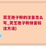 灵芝孢子粉的注音怎么写_灵芝孢子粉拼音标注方法)