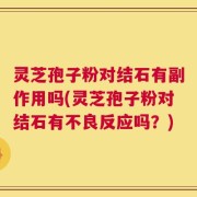灵芝孢子粉对结石有副作用吗(灵芝孢子粉对结石有不良反应吗？)