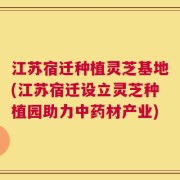 江苏宿迁种植灵芝基地(江苏宿迁设立灵芝种植园助力中药材产业)
